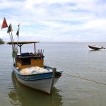 Pesca na foz do Rio Doce volta a ser liberada depois de dez anos Imagem relativa a Pesca na foz do Rio Doce volta a ser liberada depois de dez anos